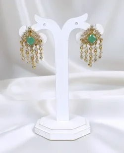 Earrings-ER16