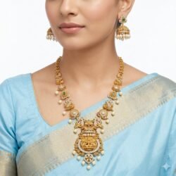 Premium Necklace With Ear Rings-NL66