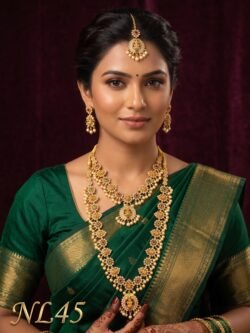 Premium Necklace With Ear Rings-NL45