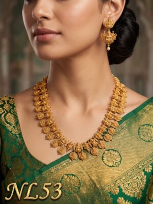Premium Necklace With Ear Rings-NL53