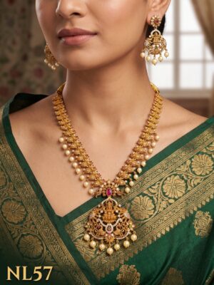 Premium Necklace With Ear Rings-NL57