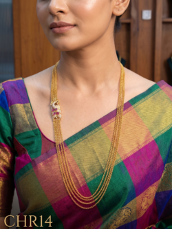 Chandraharam-CHR14
