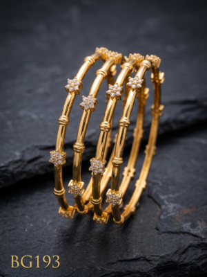 Premium Bangle  Set of 4 pcs-BG193